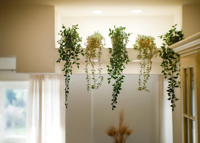 Apartmán Vatican Views Elegant Spacious E Unforgettable Řím