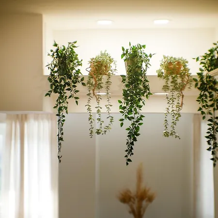 Apartment Vatican Views Elegant Spacious E Unforgettable Rome