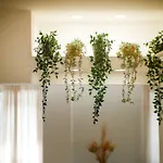 Apartamento Vatican Views Elegant Spacious E Unforgettable Roma